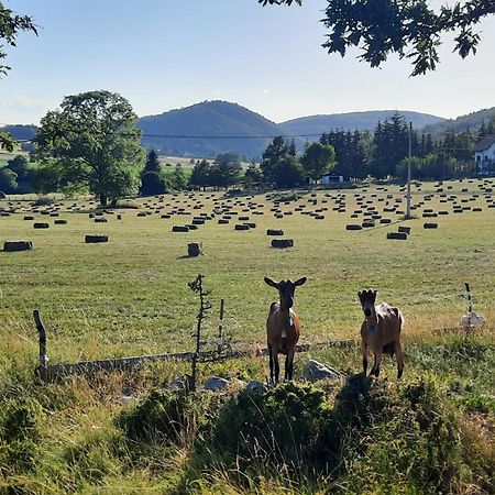 Seoski Turizam Melovic Rozanstvo Exteriör bild