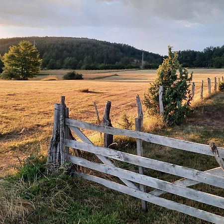 Seoski Turizam Melovic Rozanstvo Exteriör bild